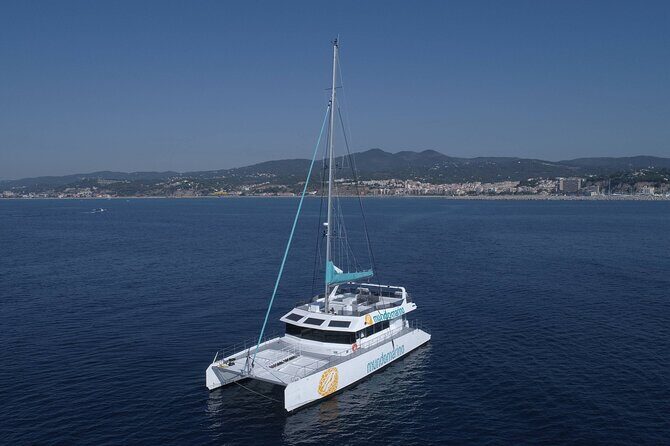 3-Hours Catamaran Tour in Malaga with Paella - The Coastal Stroll and Scenic Views