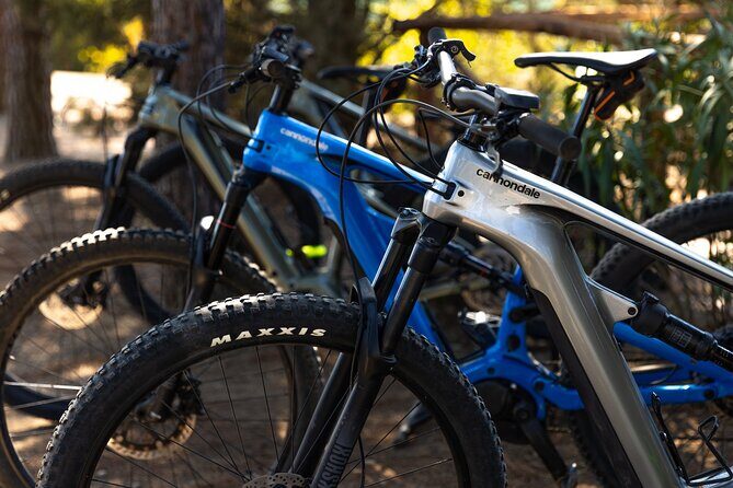 3 Hours e-bike Tour with Wine Tour at Tenuta la Chiusa - Exploring the Tour Itinerary: What to Expect