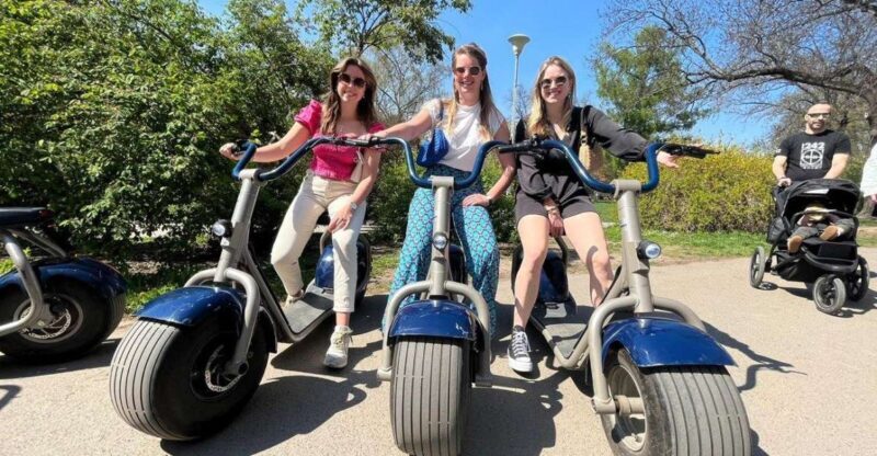 3 Hours Hamburg E-Scooter Tour - Key Points