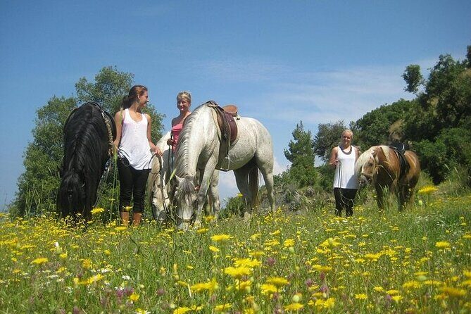 3 Hours Horse Back Riding Alanya - FAQs