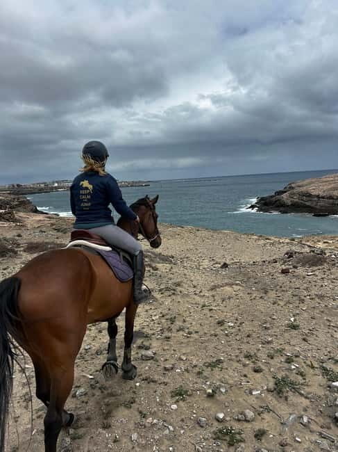 3 hours Horse Riding Tour to the Coast - The Experience in Detail: What You Can Expect