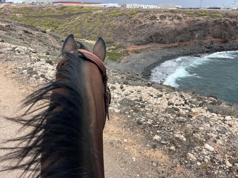 3 hours Horse Riding Tour to the Coast - FAQ