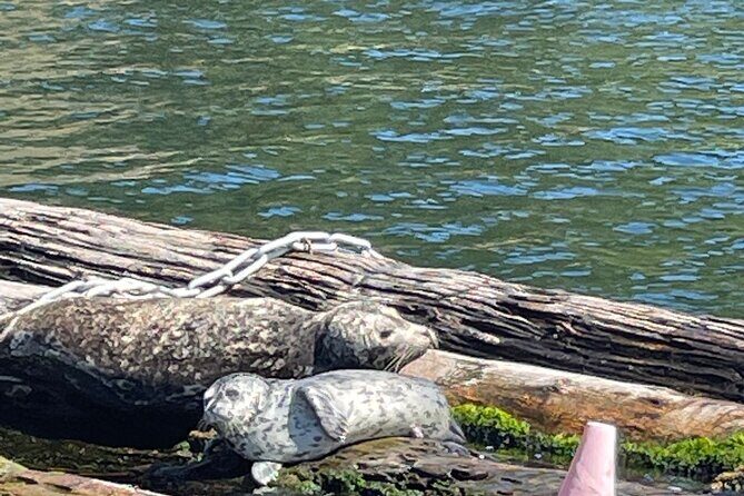 3 Hours Indian Arm Waterfalls Boat Tour from Deep Cove - FAQ