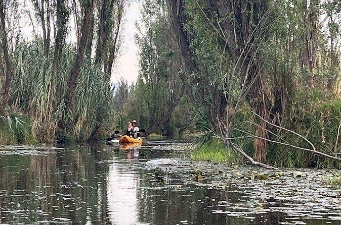 3 Hours of Kayaking at the Ancient Canals of Xochimilco - Authenticity and Value