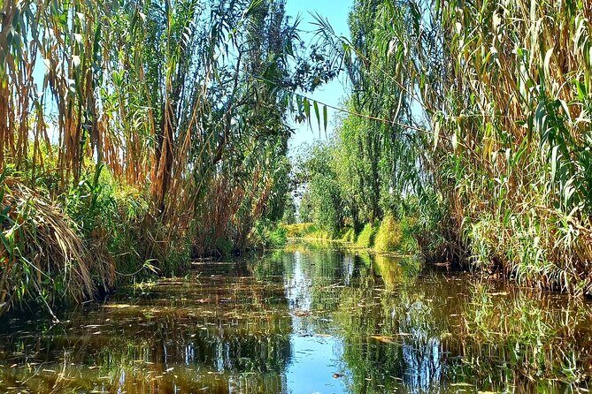 3 Hours of Kayaking at the Ancient Canals of Xochimilco - Who Will Love This Experience?