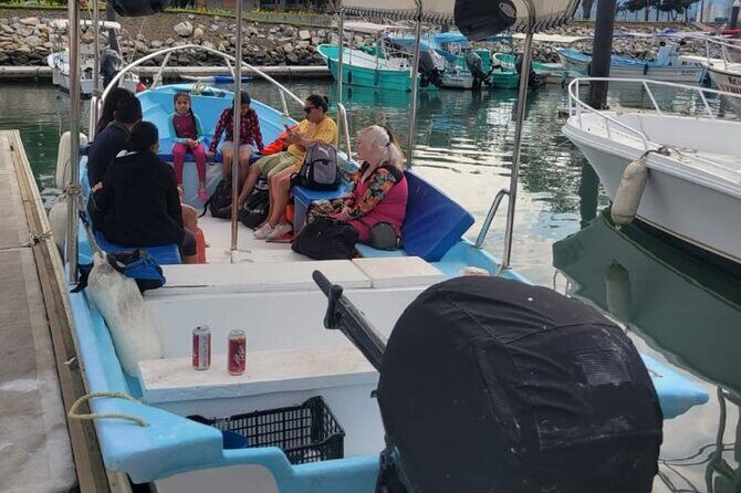 3 Hours of Whale Watching in Puerto Vallarta - Frequently Asked Questions