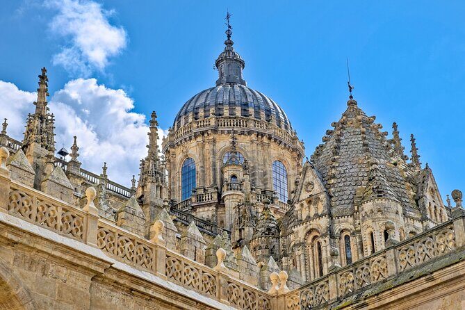 3 Hours Private Guided Walking Tour in Salamanca - Exploring Salamanca with a Private Guide: A Deep Dive