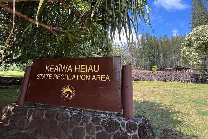 3 Hours Private Hiking and Bushwalking in the Aiea Loop Trail - Cost and Value