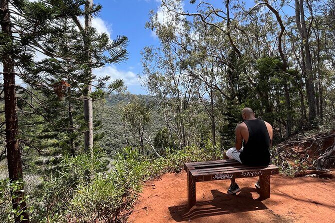 3 Hours Private Hiking and Bushwalking in the Aiea Loop Trail - Who is This Tour Best For?
