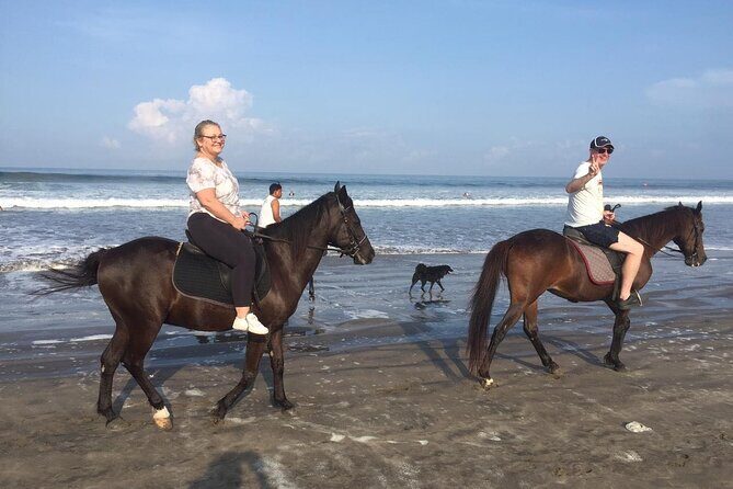 3 Hours Private Surf Lesson and Horse Riding in Seminyak Bali - The Itinerary Breakdown: What You Can Expect