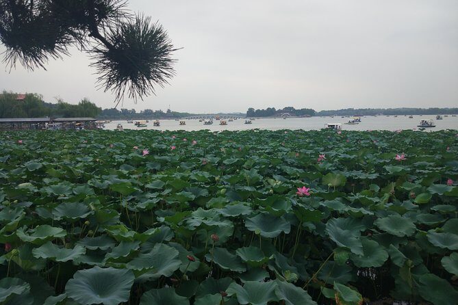 3 Hours Small Group Tour to Summer Palace with Boat Ride - The Sum Up