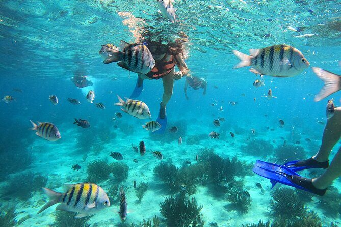3 Hours VIP Semiprivate Tour Isla Mujeres Full Snorkeling Experience - Key Points