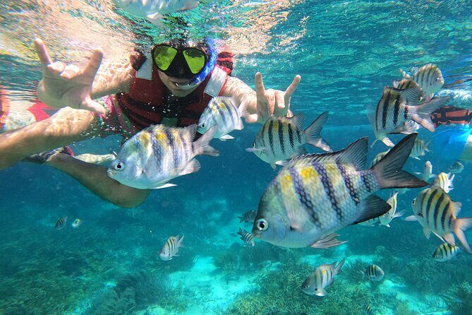 3 Hours VIP Semiprivate Tour Isla Mujeres Full Snorkeling Experience - Who Should Consider This Tour?