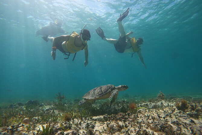 3 in 1 Catamaran Tour to Isla Mujeres from Cancun All Inclusive - Setting Sail: From Cancun to the Caribbean