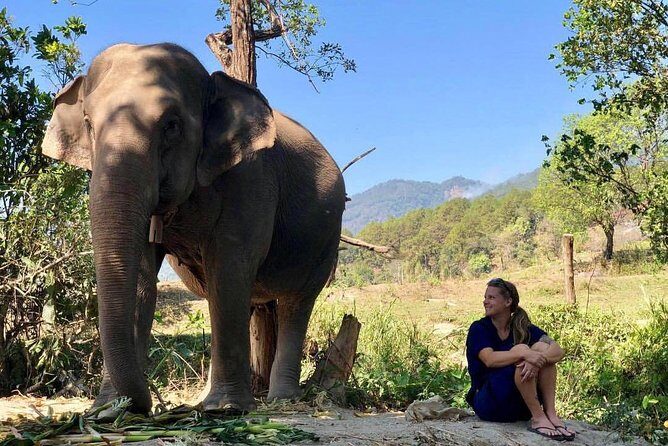 3-in-1: Doi Inthanon Tour, Elephant Sanctuary, and Trekking Trail - FAQ Section