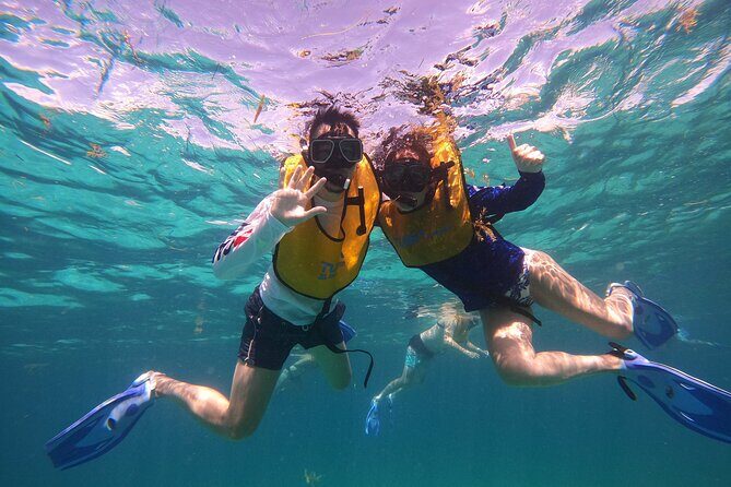 3 in 1 Jungle Tour Adventure Cancun - The Practicalities: What to Know Before You Go