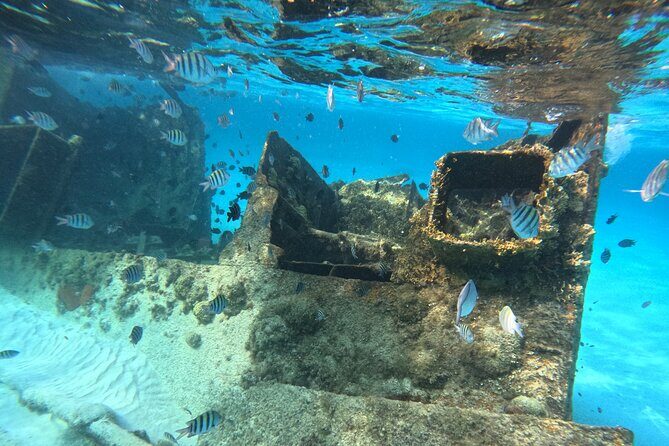 3 in 1 Jungle Tour Adventure Cancun - FAQ