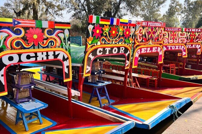 3 in 1 Special Price Museum Frida Khalo Xochimilco and Coyoacan - A Closer Look at the Experience