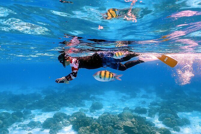 3-Island Speedboat Tour: Racha Noi, Racha Yai & Maiton - Who Is This Tour Perfect For?