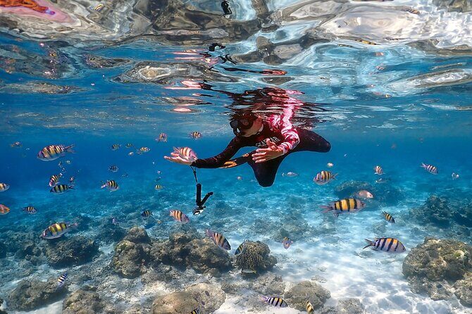 3-Island Speedboat Tour: Racha Noi, Racha Yai & Maiton - FAQs