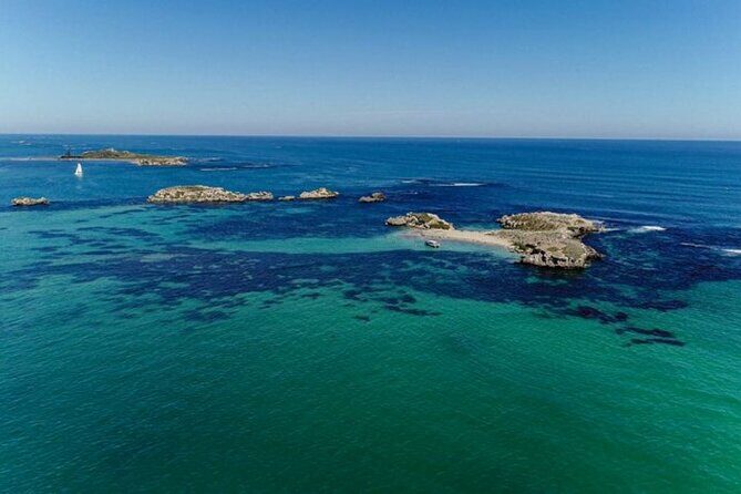 3 Island Wildlife Snorkel - Pricing and Value