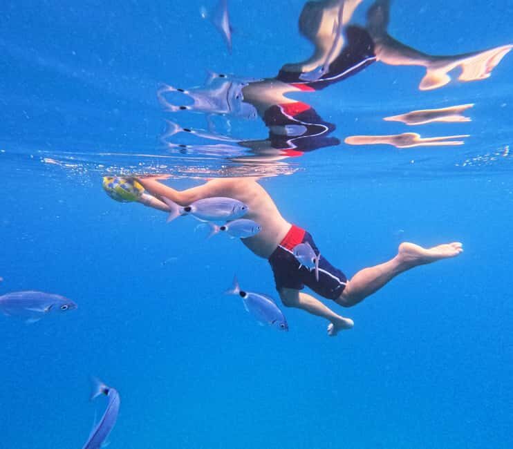 3 Islands Speedboat Tour: Golden Horn, Blue Lagoon & Jelsa - FAQ