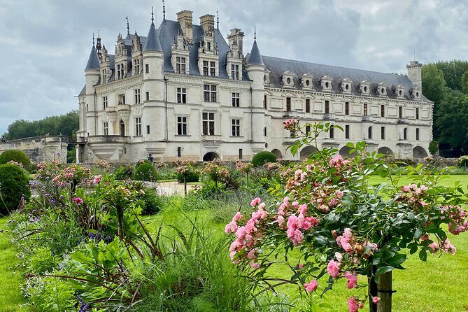 3 Loire Castles Live Guided Small group trip by minivan Winery - Who Should Consider This Tour?