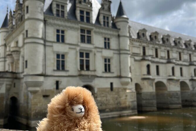 3 Loire Valley Castles and Wine Tasting Private Guided Tour - Final Thoughts