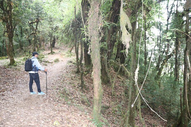 3 Night 4 Days Mardi Himal - Why We Love the Mardi Himal Trek