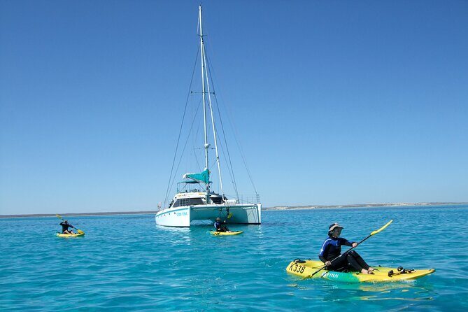 3 Night Ningaloo Reef Snorkel and Dive Getaway from Coral Bay - The Reviewers Perspective
