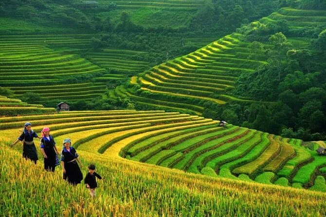 3-Night Sapa Trek and Homestay with Round Trip Transfer from Hanoi - Key Points