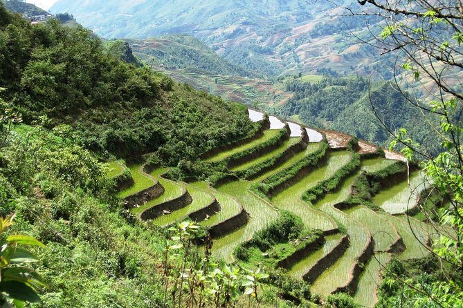 3-Night Sapa Trekking Tour from Hanoi - The Detailed Experience of the Sapa Trekking Tour