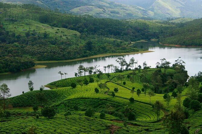 3 Nights Private Kerala Premium Package by Sanguine Holidays - Key Points