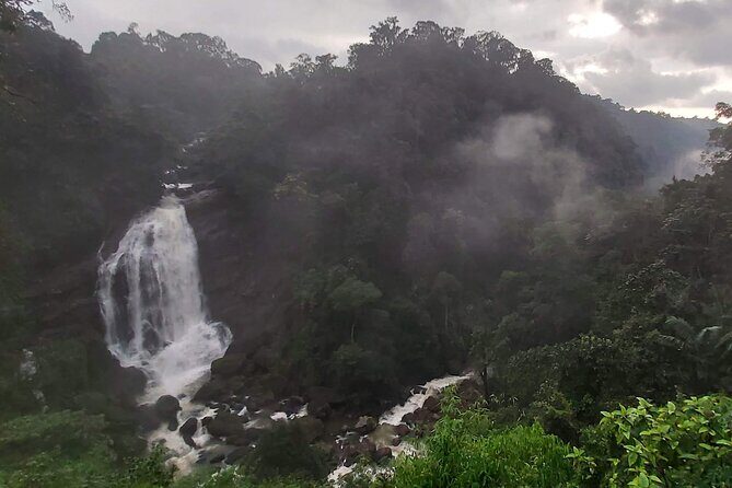 3 Nights Private Tour with Exclusive Houseboat- Sanguine Holidays - An In-Depth Look at the 4-Day Kerala Tour