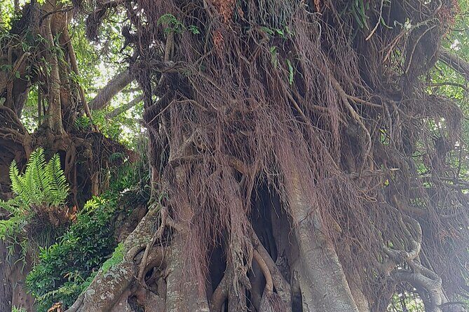 3 Nights Stay in Tanna including Accommodation, meals & transfers - FAQs