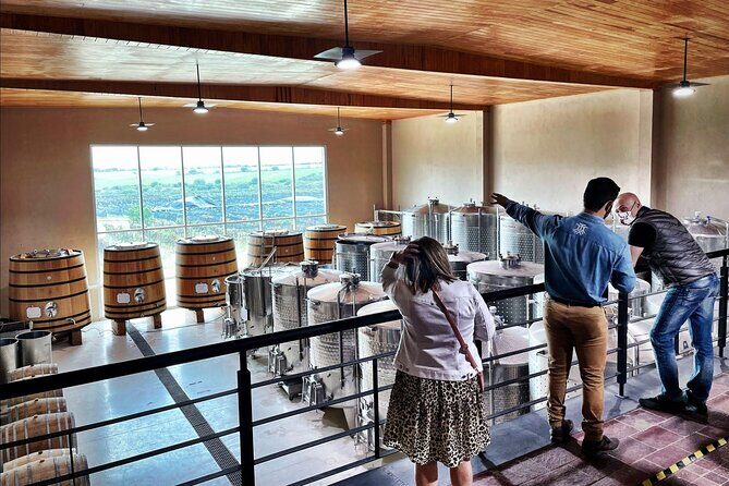 3 or 5 Course Menu + Wine Pairing + Tour @Local Winery - Who Will Love This Experience?