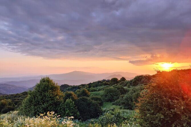 3 Organic Wineries Private Day Trip to Wine Province With Lunch and Tastings - FAQs