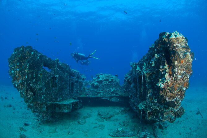3-Tank Dive Featuring the Molokini Crater - Who Will Love This Tour?