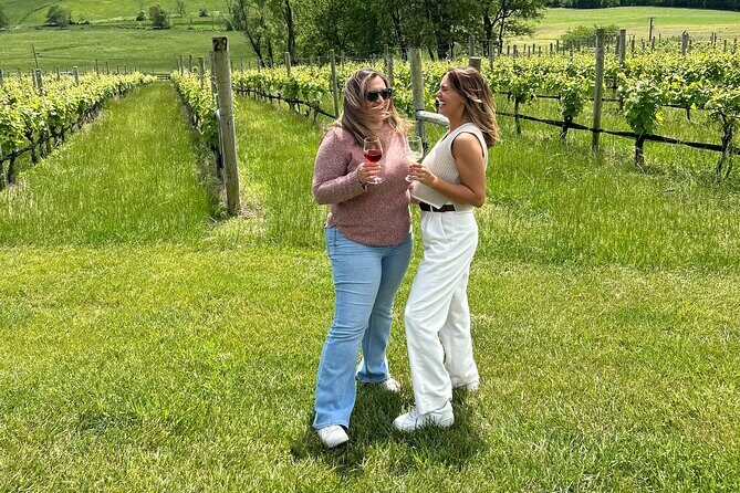 3 VA Wineries Day Trip with Optional Tasting-Inclusive Upgrade - The Experience: What You Will Actually Do
