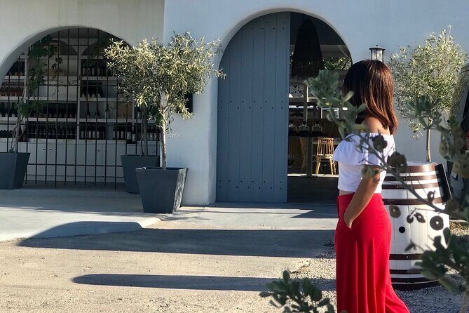 3 Wineries wine tasting & Greek Meal -Food and Wine pairing - Key Points