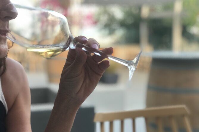 3 Wineries wine tasting & Greek Meal -Food and Wine pairing - What Sets This Tour Apart?