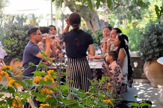 3 Wineries wine tasting & Greek Meal -Food and Wine pairing - Value for Money