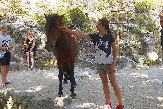 3 Wonderful Waterfalls in a Day - Who Will Love This Tour?