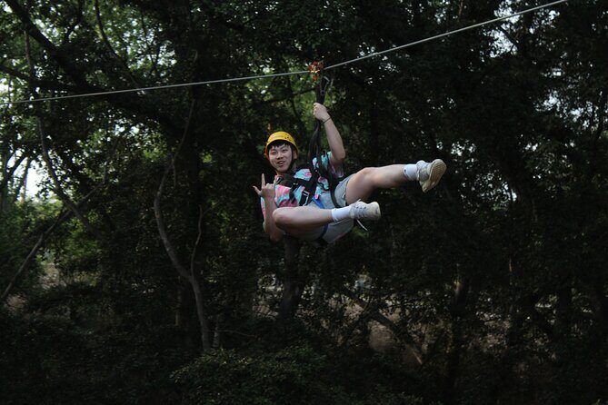 3 Zipline Adventure with Waikiki Transportation - Key Points