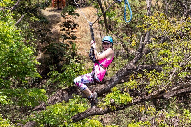 3 Zipline Adventure with Waikiki Transportation - Authentic Insights from Reviewers