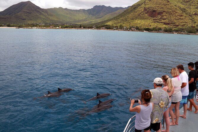 3 Ziplines & Dolphin Watching Snorkel Adventure - Uncovering the Thrill and Serenity of the 3 Ziplines & Dolphin Watching Snorkel Adventure