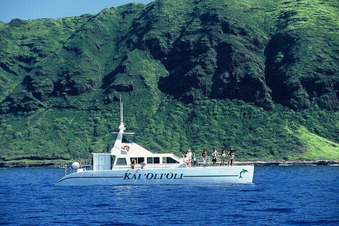 3 Ziplines & Dolphin Watching Snorkel Adventure - Summary: The Value and Who It’s For