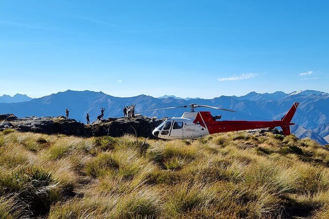 30-Minute Alpine Scenic Flight from Queenstown - Key Points
