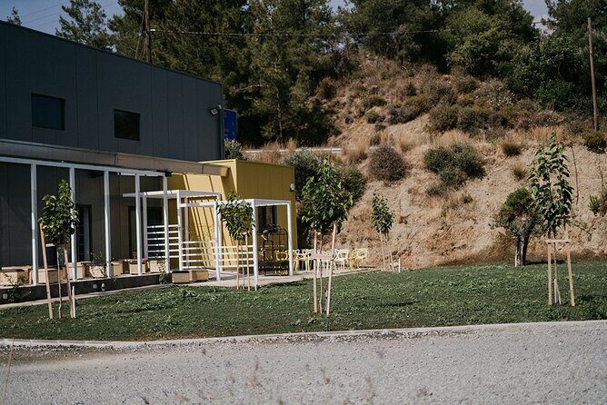 30-Minute Guided Honey Tasting Activity in Melini - Authentic Reviews and Insights