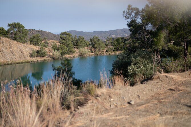 30-Minute Guided Honey Tasting Activity in Melini - The Sum Up